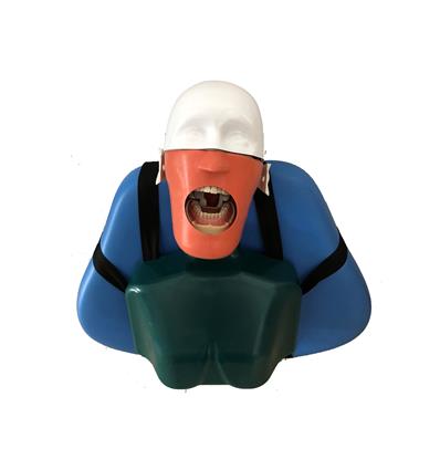 modelo-estudio-jg-c4-a-respaldo-equipo (1)